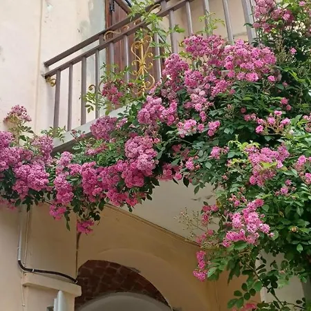 Il Roseto